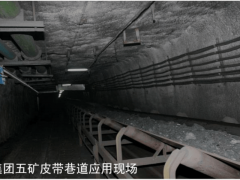 同鞭策尺度制定取生态扶植