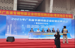 各企业展位前均排起